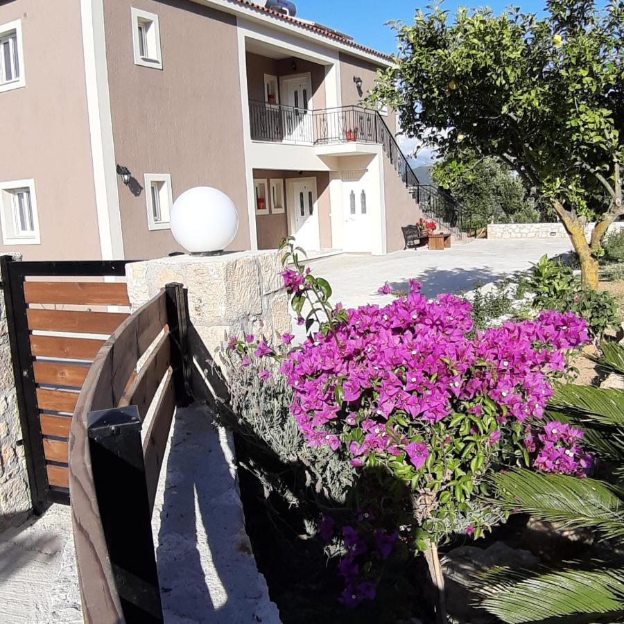 Nikoleta'S Studios Argostoli  Eksteriør billede