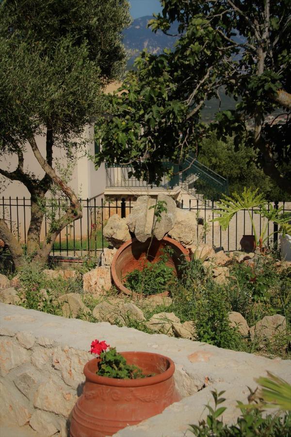Nikoleta'S Studios Argostoli  Eksteriør billede