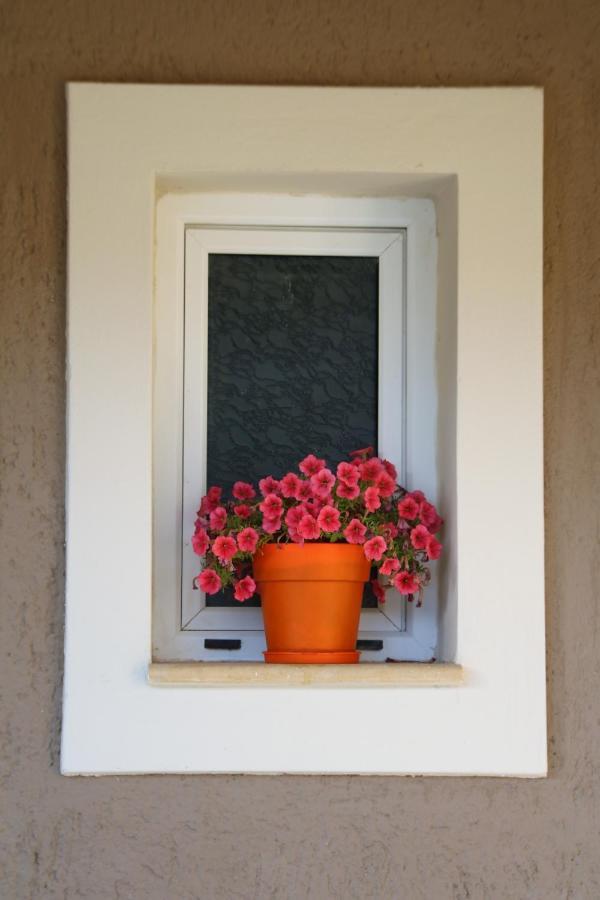Nikoleta'S Studios Argostoli  Eksteriør billede