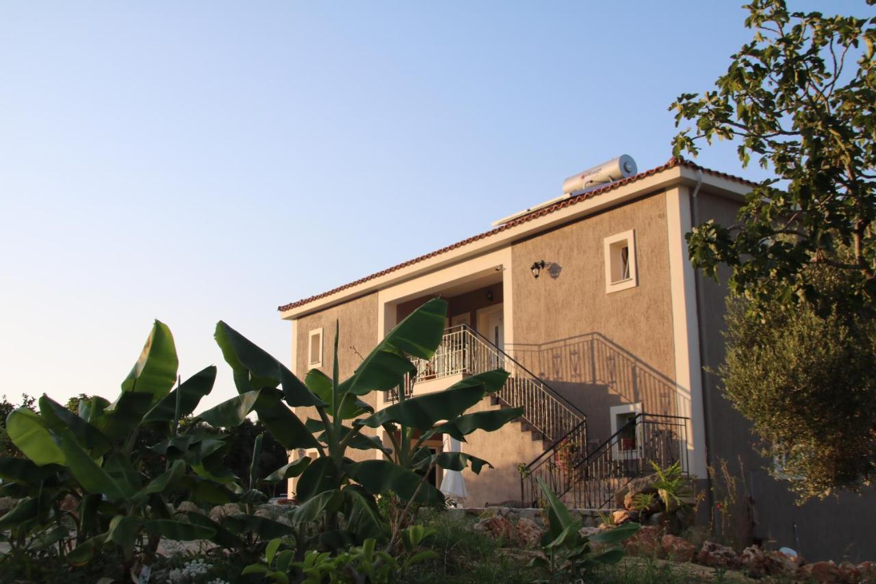 Nikoleta'S Studios Argostoli  Eksteriør billede