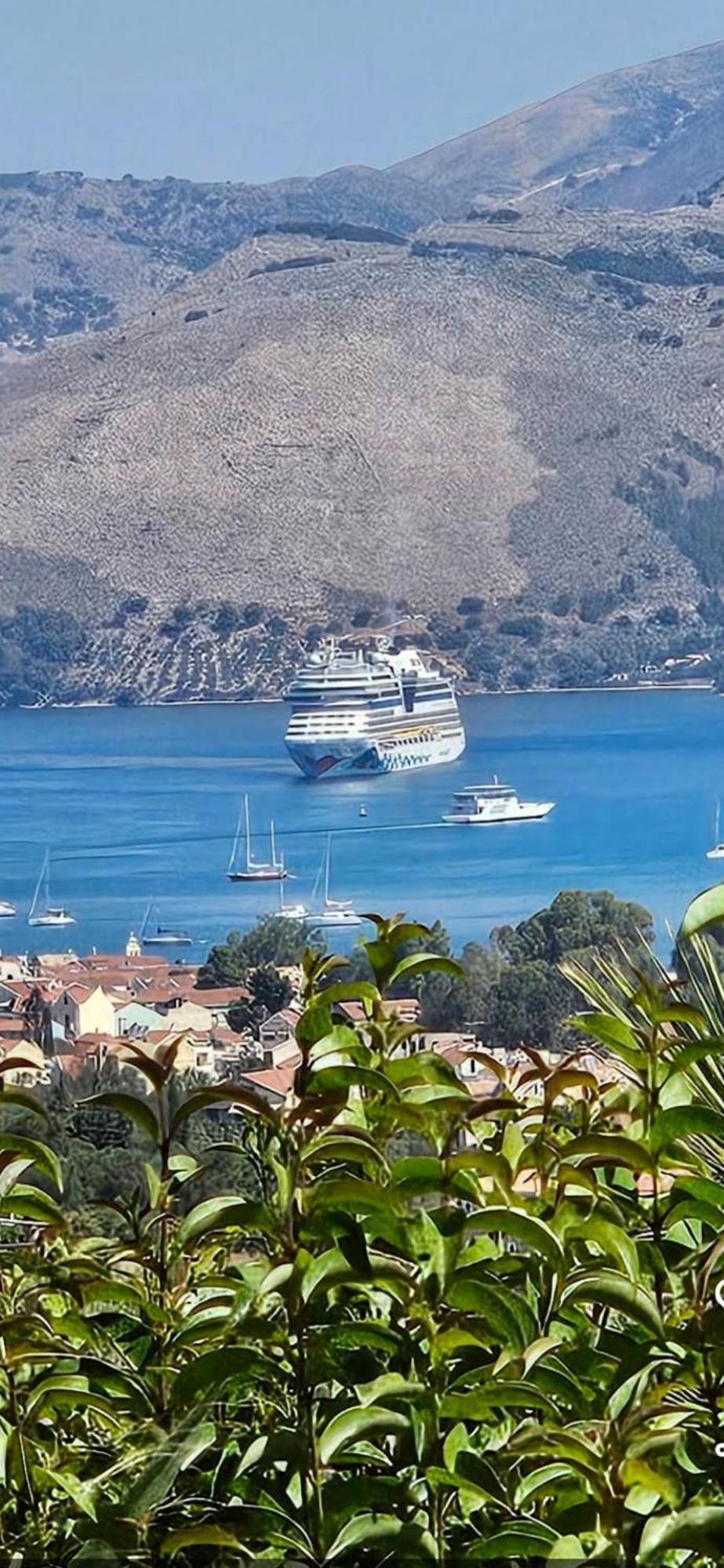 Nikoleta'S Studios Argostoli  Eksteriør billede